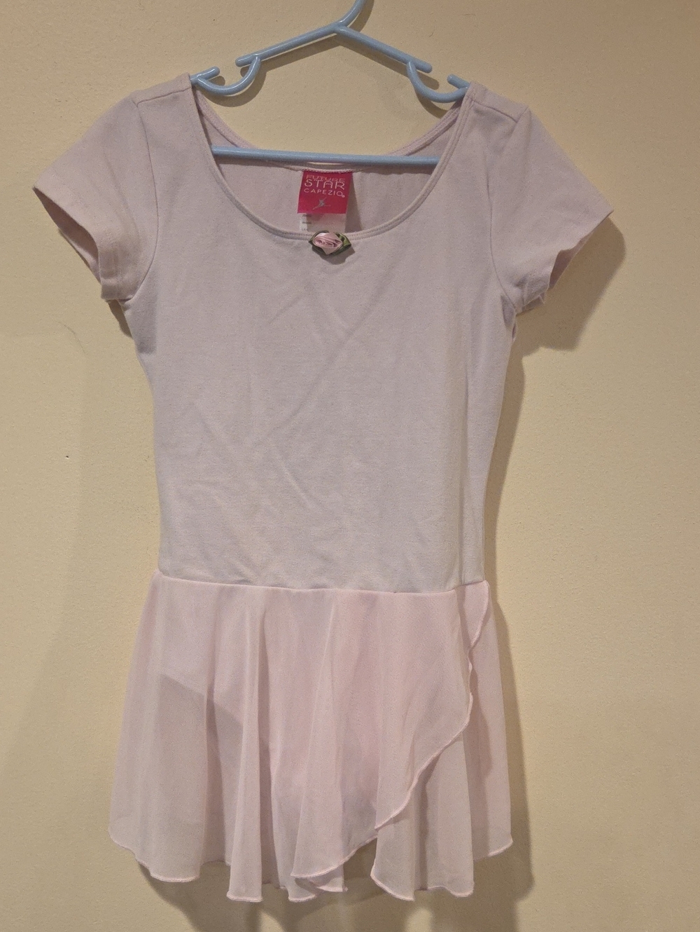 Capezio Pale Pink Girls' Ballet Dress with Chiffon Skirt